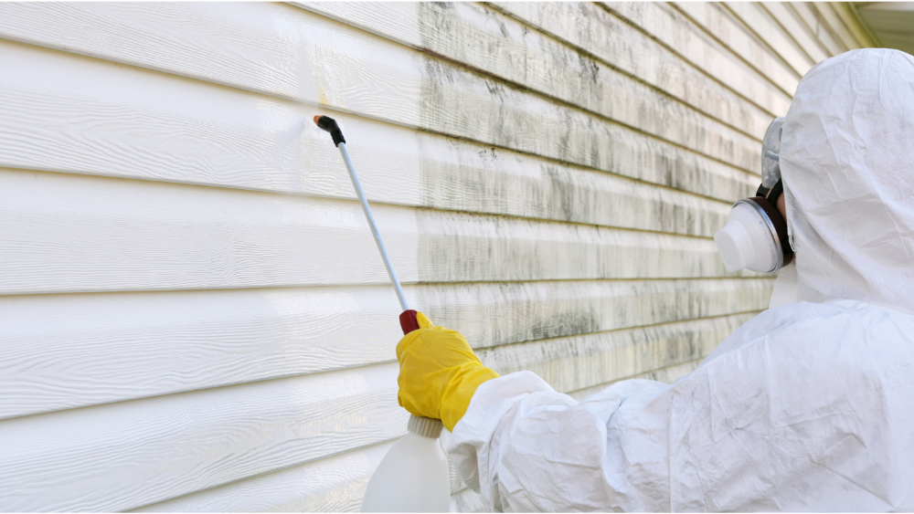 Prep Work That Makes or Breaks the Paint Job
